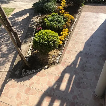 Anamar Guest house *