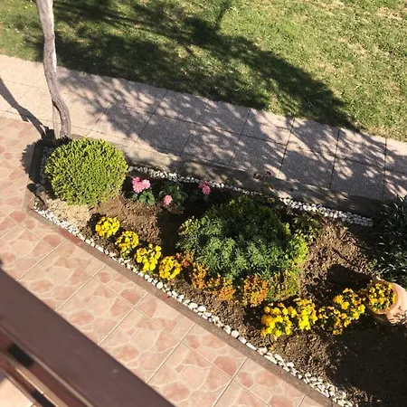 Anamar 게스트하우스