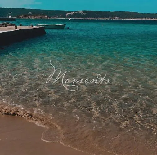 Anamar 3*